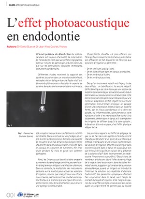 article_28-32_guex-cochet-1